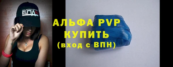 apvp Краснослободск